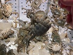 -凯悦·东方公主号 全球海鲜自助餐厅(凯丹广场店)
