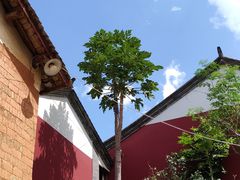 -墨江北回归线标志园