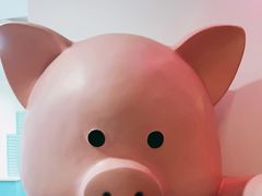 -Facepork脸猪·比脸大的猪排？