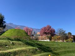 -云禾壹海景庄园餐厅