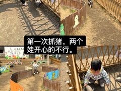 -乌村