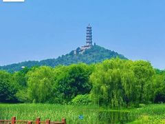 -北坞公园