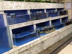 -香山湖渔家大院