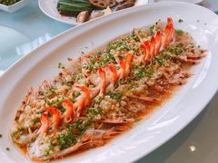 -沪碟·精菜坊(闵行店)