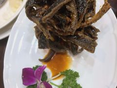 -新聚丰菜馆(太监弄店)