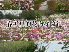 -上海杨姆庄园