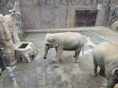 -青岛森林野生动物世界