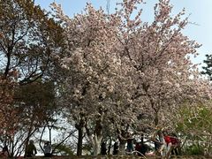 -元大都城垣遗址公园