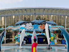 -海合安成都极地海洋公园