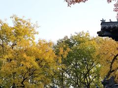 -灵谷景区