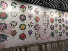 -北京中医药大学-中医药博物馆