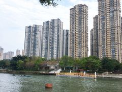 -光明港公园