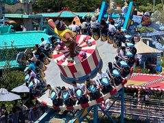 -青岛方特梦幻王国