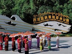 -西双版纳原始森林公园