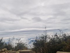 -白草畔自然风景区