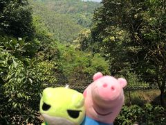 -四会奇石河风景区