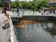 -长春市南湖公园