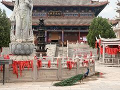 -大槐树寻根祭祖园