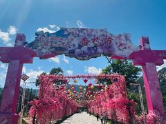 -北京凤凰岭
