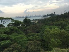 -圣淘沙天际线斜坡滑车