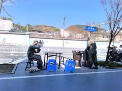 -两棵树馄饨店(渔梁住保小区店)