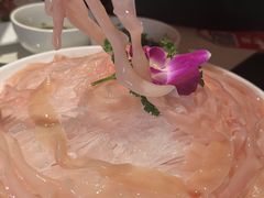 -九码头重庆毛肚火锅(棠岗店)