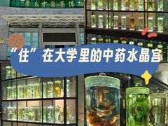 -广东中医药博物馆