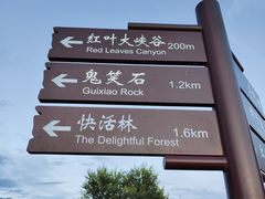 -鬼笑石后山停车场