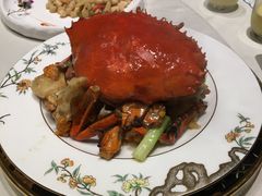 -蝶园·装修中(BFC外滩金融中心店)