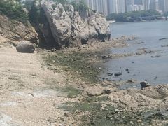 -黑石礁公园