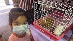 -Moni星球萌宠·小马宝莉·灵蛇·高端高阶全萌宠互动体验俱乐部(红豆国际广场店)