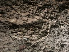 -世界恐龙谷景区