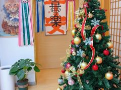 -猫十亿·布偶金渐层·曼基康矮脚猫舍(青年路店)