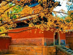-香山公园