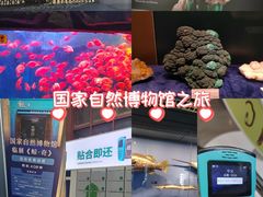 -国家自然博物馆