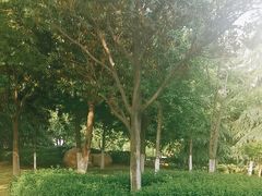 -天鹅湖体育公园