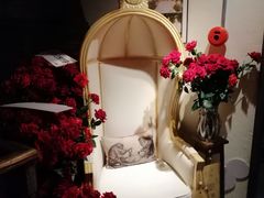 -杂咖zacup(领展中心城店)