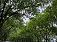 -北坞公园