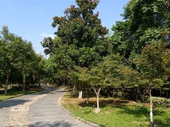 -金钉子远古世界景区