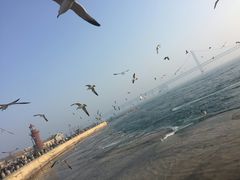 -星海湾跨海大桥