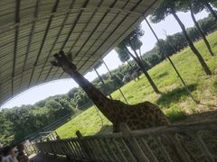 -常州淹城野生动物世界