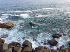 -广东惠东海龟国家级自然保护区