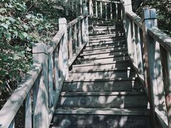 -大连天门山国家森林公园