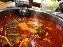 酸汤鱼火锅-苗姑酒堂(仁义社区店)