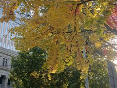 -利顺德大饭店·维多利亚花园(小白楼店)