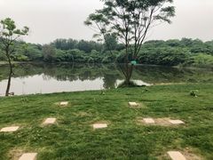 -盘龙城国家考古遗址公园