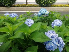 -大洋晶典(东街店)