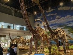 -自贡恐龙博物馆