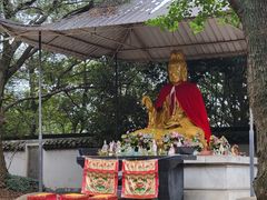 -上海佘山国家森林公园天马山园
