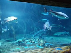 -华夏文旅海洋公园